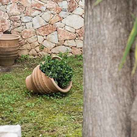 Lejlighed Zen Serenity Retreat With Great Outdoors, Pool & Parking *